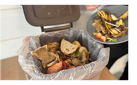Food Waste Caddy